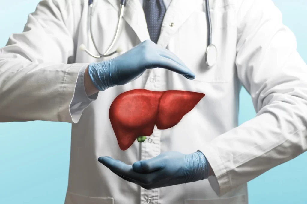 proctected liver concept in doctors' hand
