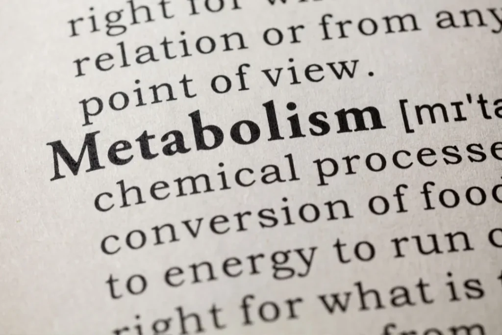 Metabolism.